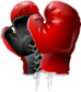 BOXING-GLOVES Complex Litigation